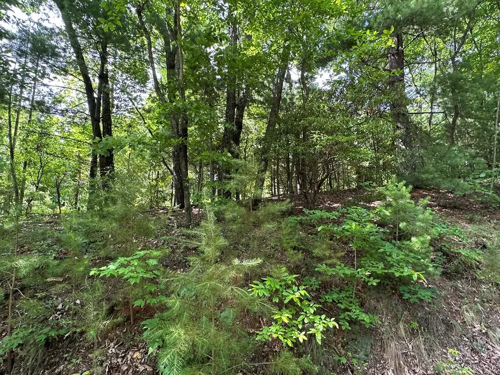 Lot 31 Peak Trail, Murphy, NC 28906 - #1