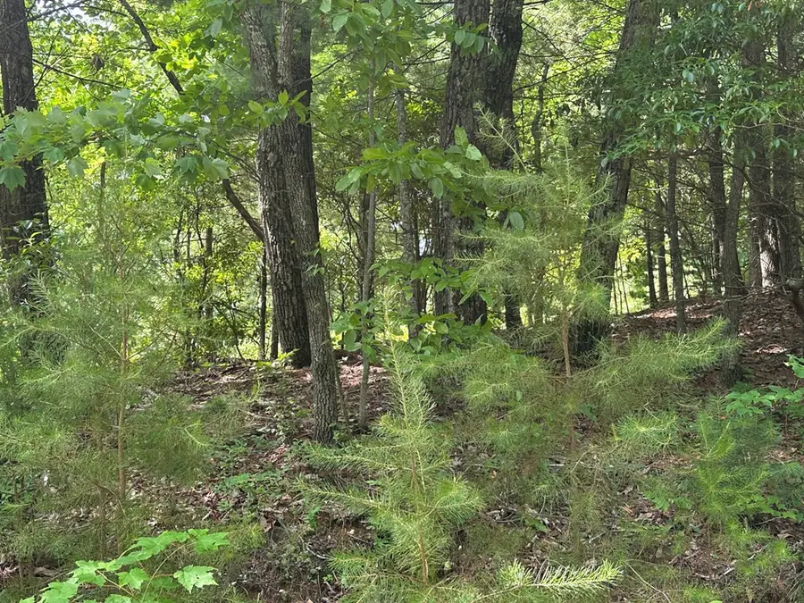 Lot 31 Peak Trail, Murphy, NC 28906 - #3