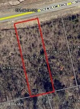 Lot 113 Scentlok Trace, Warrenville, SC 29851 - #1