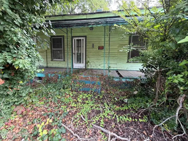 919 Panola Street, Tarboro, NC 27886