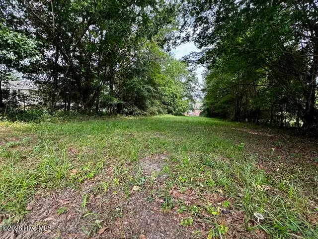 1112 Bradley Avenue, Tarboro, NC 27886 - #2