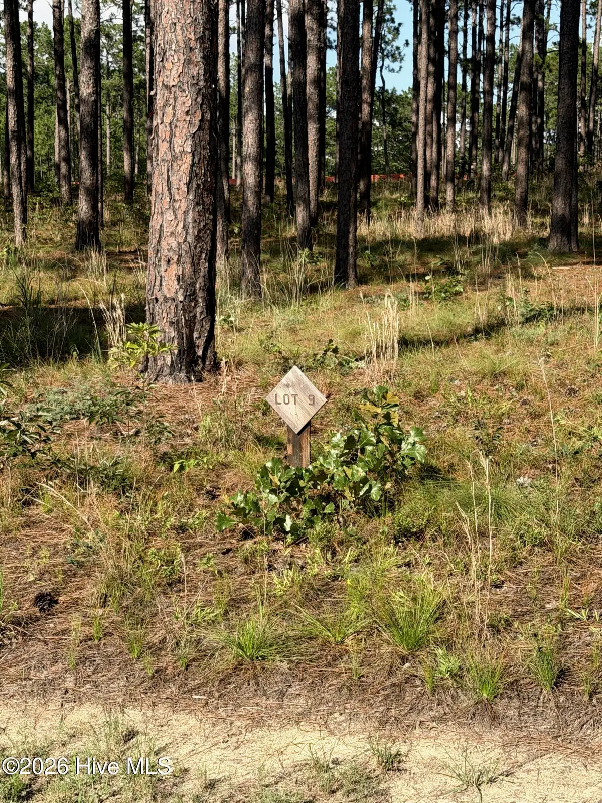 481 N Fort Bragg Road, Southern Pines, NC 28387 - #1
