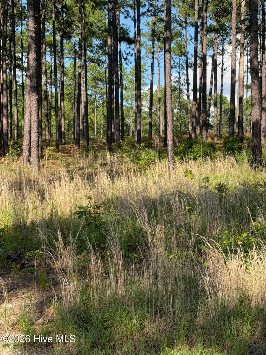 481 N Fort Bragg Road, Southern Pines, NC 28387 - #2