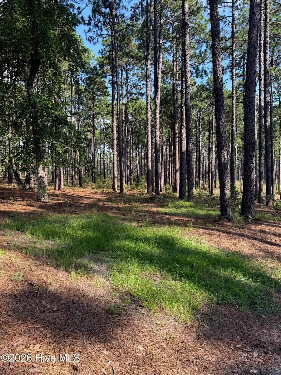 481 N Fort Bragg Road, Southern Pines, NC 28387 - #3
