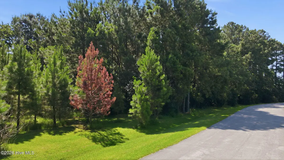 9325 Doris Drive, Oriental, NC 28571 - #1
