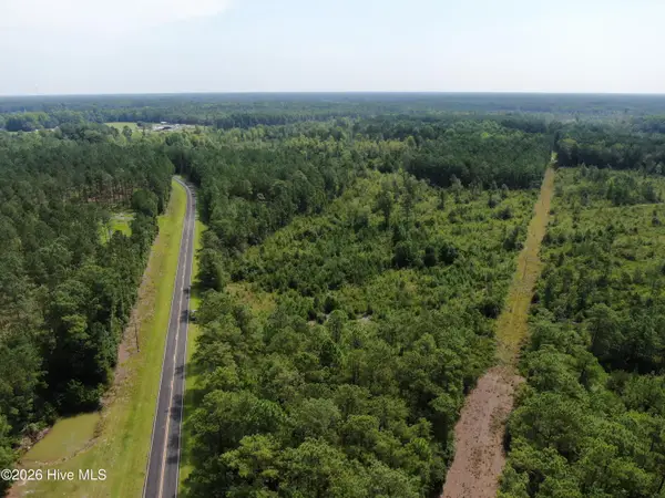 Tbd Sarah Peterson Road, Council, NC 28434