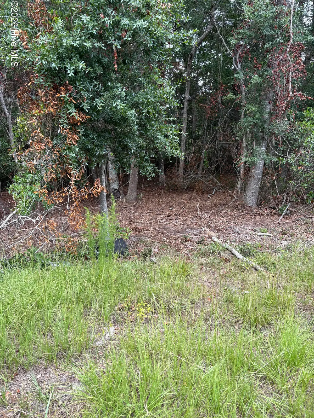 2993 James Street Sw, Supply, NC 28462 - #1