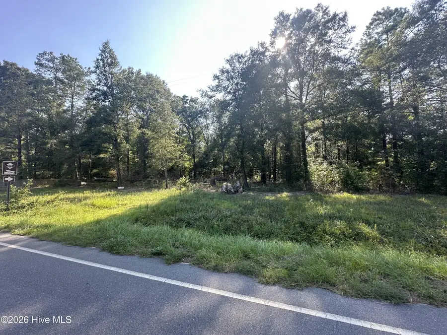 2 Ivanhoe Road, Ivanhoe, NC 28447 - #2