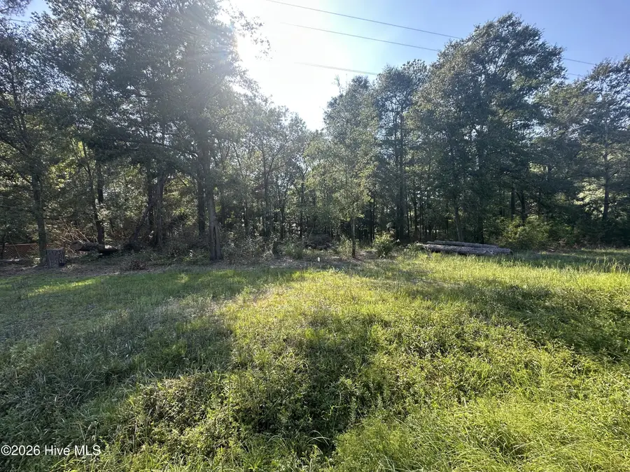 2 Ivanhoe Road, Ivanhoe, NC 28447 - #3