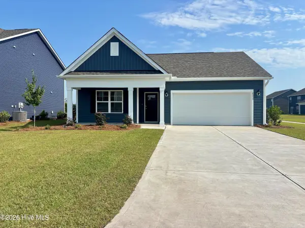 1110 Pampas Grass Drive #Lot 340, Castle Hayne, NC 28429