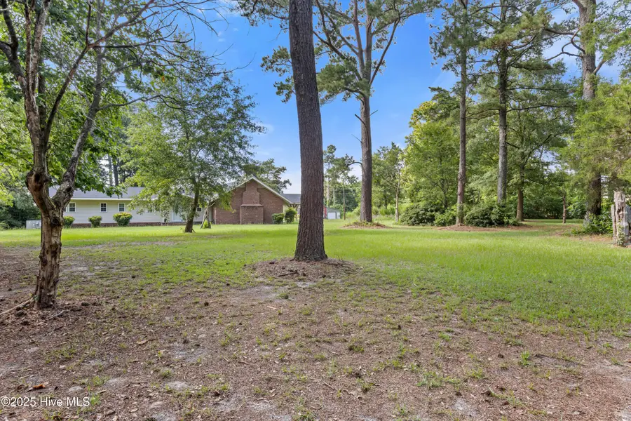 653 Seth Turner Road, Albertson, NC 28508 - #3
