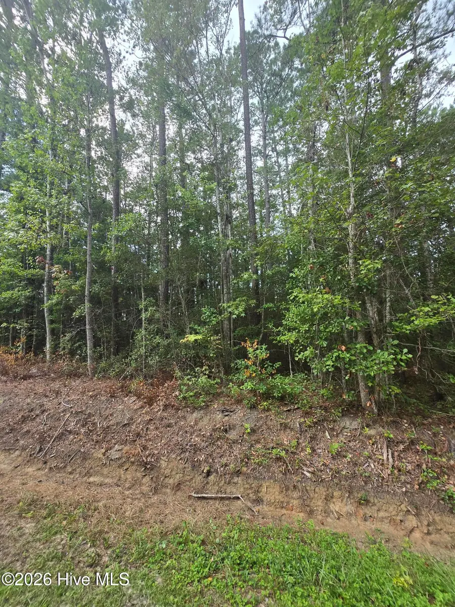 6 Myrtlewood Drive Sw, Carolina Shores, NC 28467 - #3
