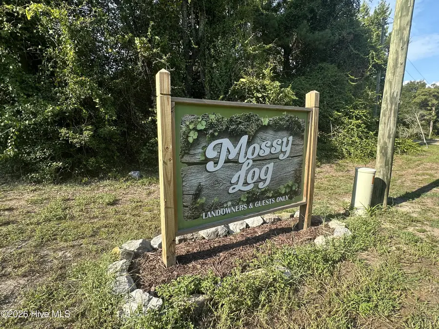 43 Black River Lane, Harrells, NC 28444 - #2