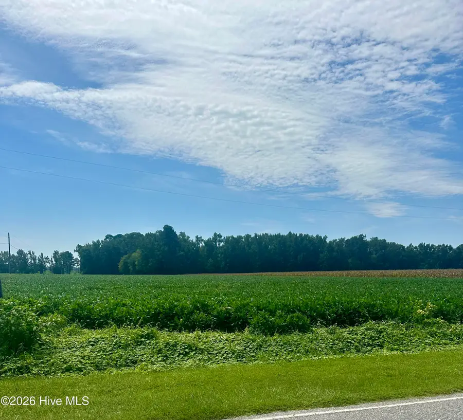 2645 Braswell Road, Chadbourn, NC 28431 - #2