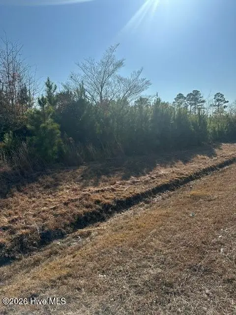 2645 Braswell Road, Chadbourn, NC 28431 - #3