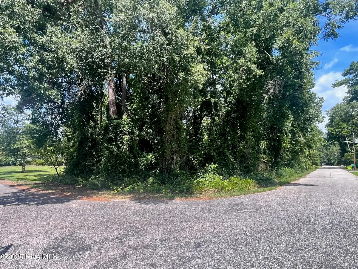 Lot 110 Wildwood Road, Whiteville, NC 28472 - #1