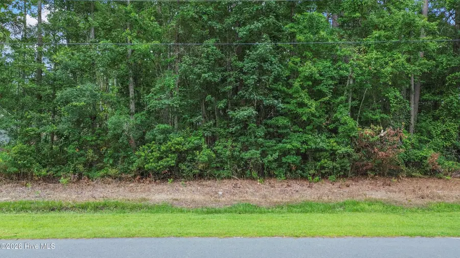 31 Pinewood Drive, Carolina Shores, NC 28467 - #2