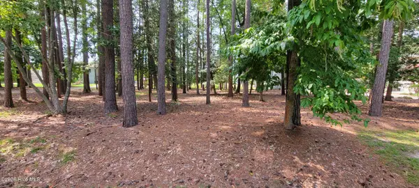 Lot 108 Live Oak Lane, Washington, NC 27889
