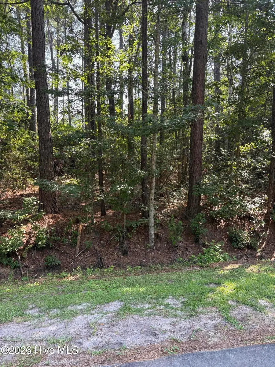 13 Myrtlewood Drive Sw, Calabash, NC 28467 - #2
