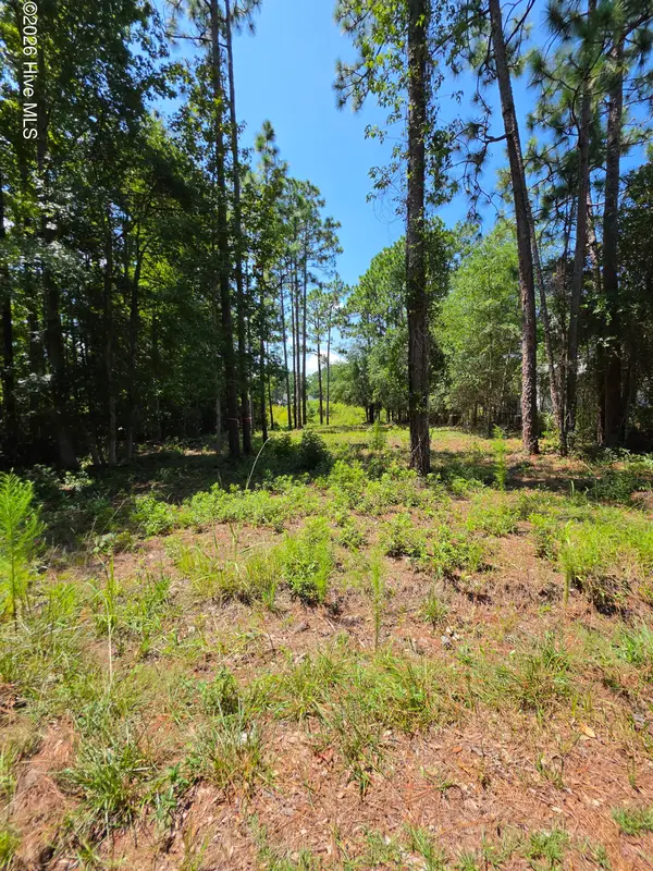 44 Pine Shores Drive, Southport, NC 28461