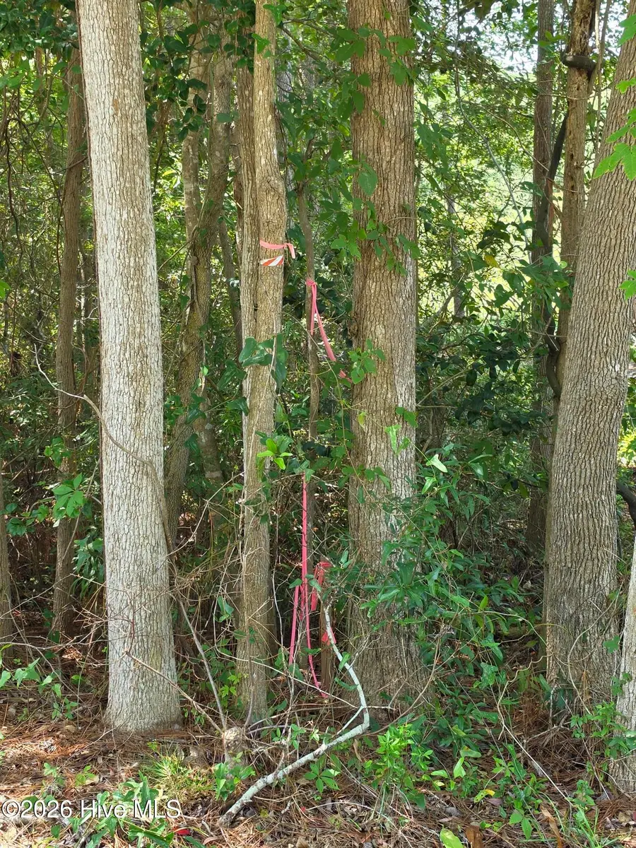 44 Pine Shores Drive, Southport, NC 28461 - #3