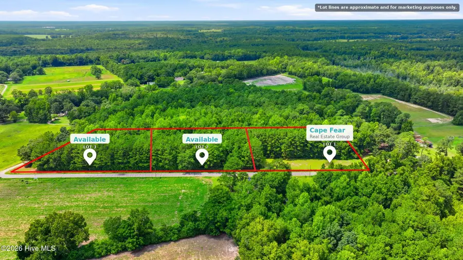 Lot 1 Point Caswell Road, Willard, NC 28478 - #3