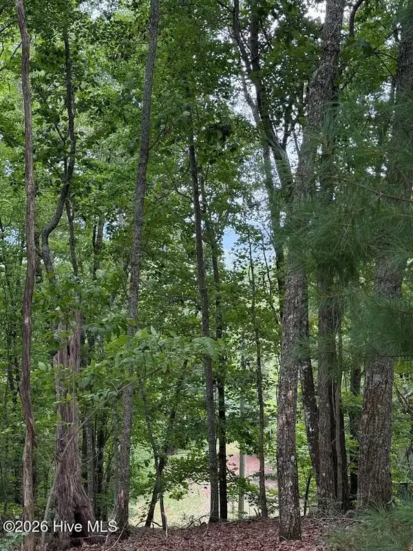Lot #46 Pine Cove Lane, Murphy, NC 28906