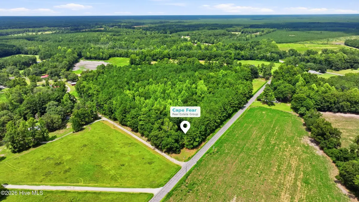 Lot 3 Point Caswell Road, Willard, NC 28478 - #1