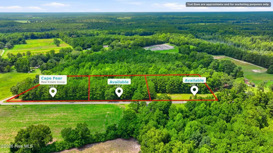 Lot 3 Point Caswell Road, Willard, NC 28478 - #2