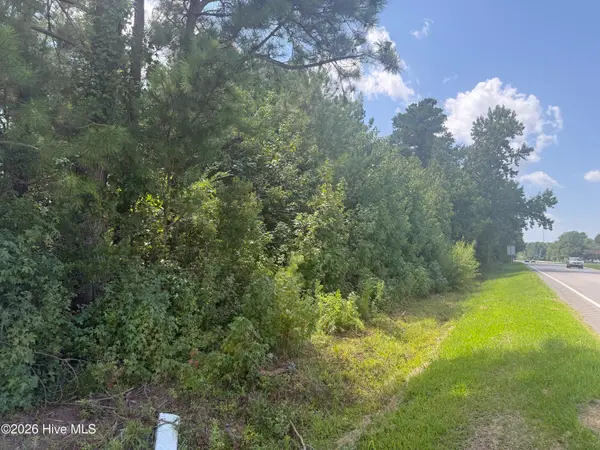 Near 26880 Near 26880 Andrew Ja Highway E, Delco, NC 28436