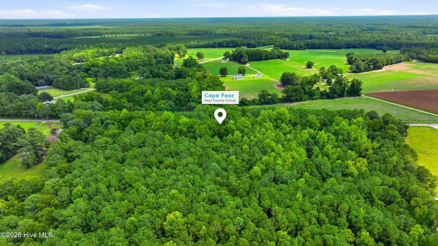 Lot 2 Point Caswell Road, Willard, NC 28478 - #3