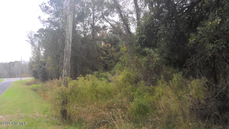 2.02 Ac S Highway 258 S, Kinston, NC 28504 - #2