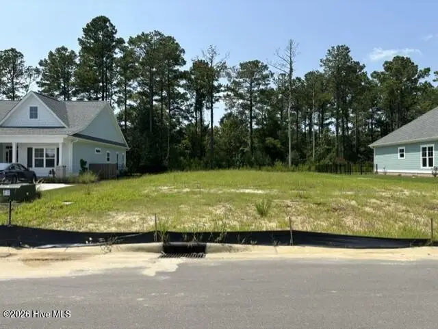 4418 Fantail Drive, Leland, NC 28451 - #1