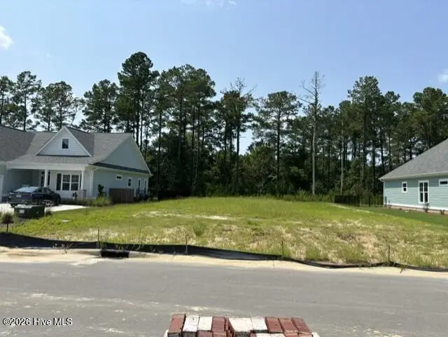 4418 Fantail Drive, Leland, NC 28451 - #2