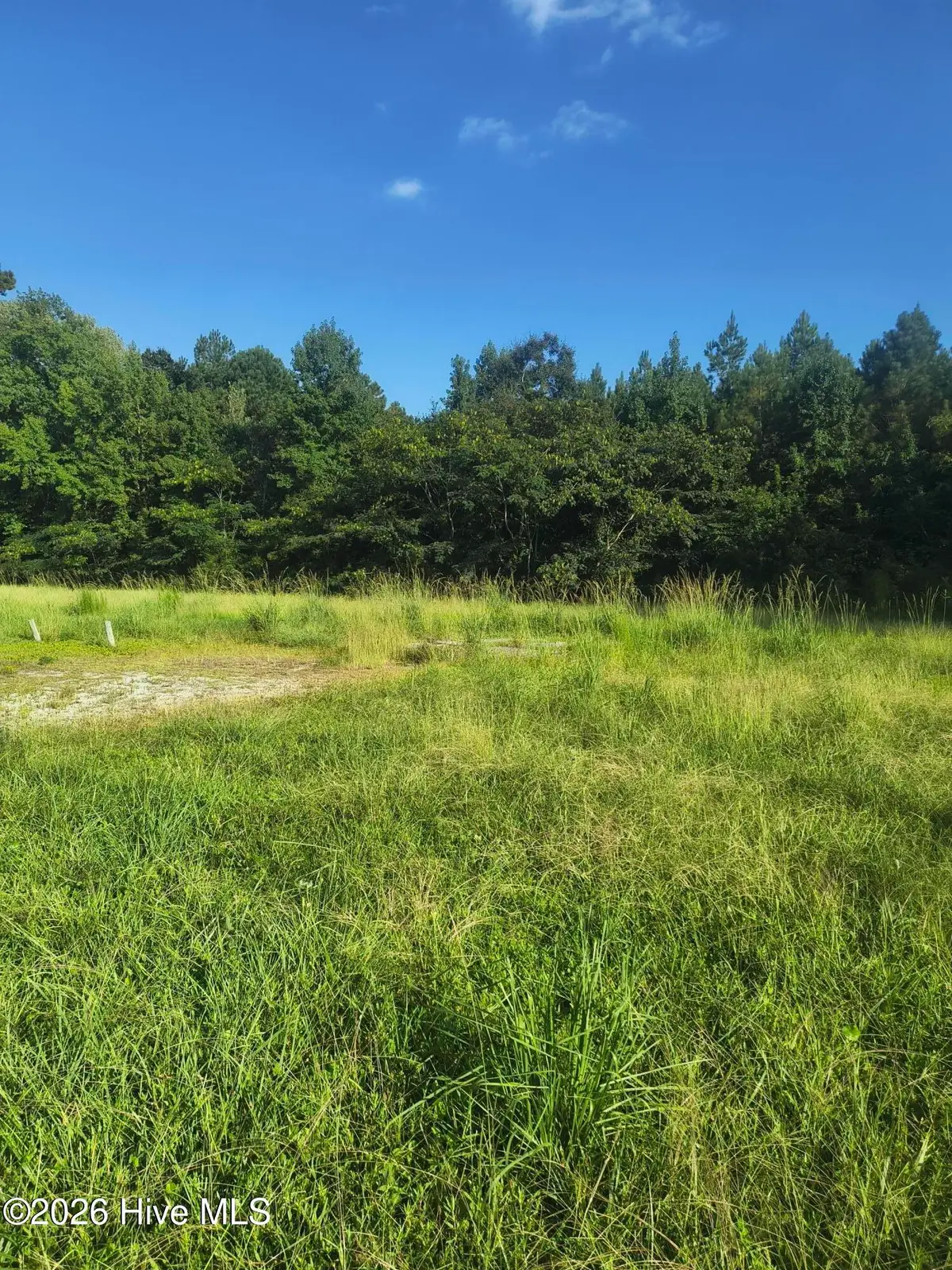 3637 N Highway 101, Newport, NC 28570 - #1
