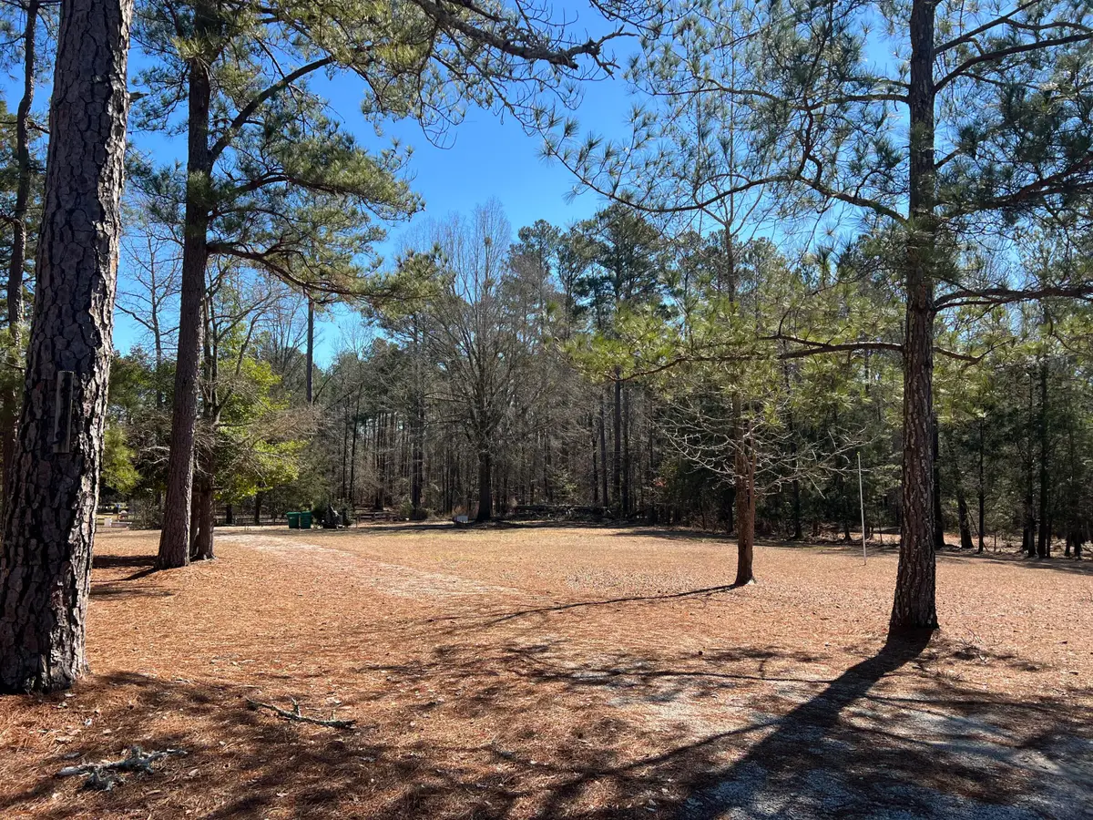 2369 Pine Ridge Drive, Appling, GA 30802 - #1