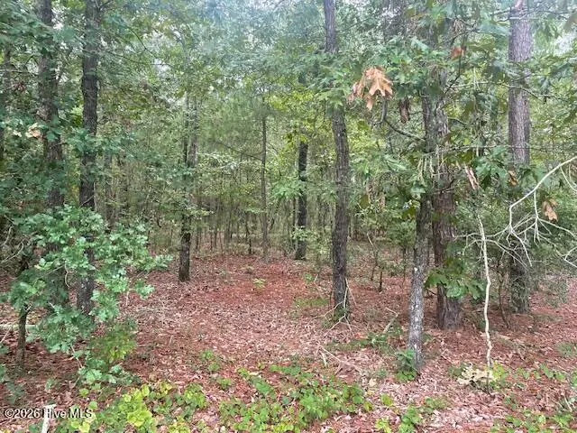300 Gardenia Lane, White Oak, NC 28399 - #2