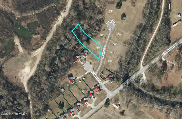 203 Lazy River Court, Jacksonville, NC 28540