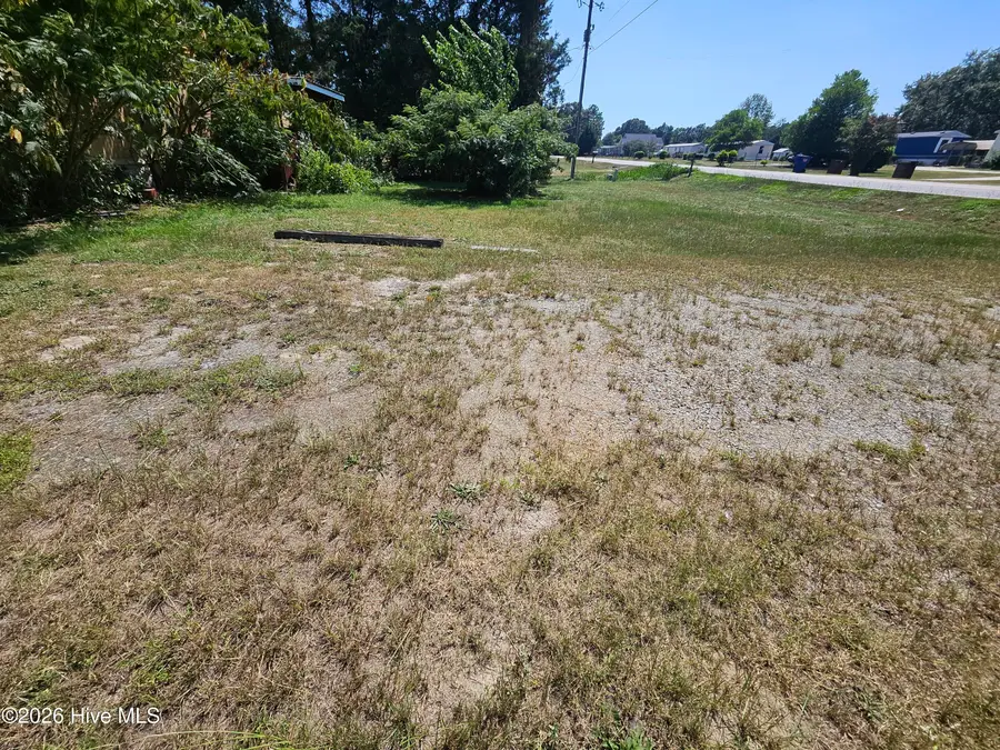 341 Durham Lake Road, Dudley, NC 28333 - #2