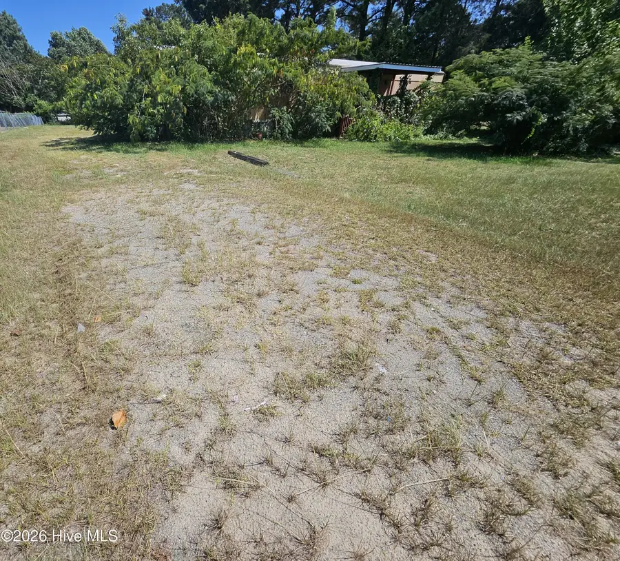 341 Durham Lake Road, Dudley, NC 28333 - #3