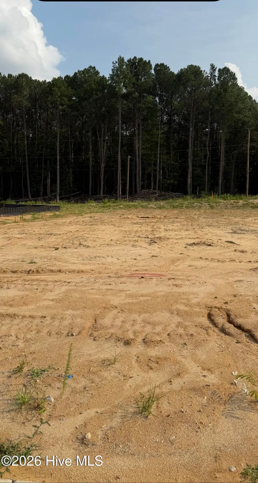 135 White Bark Street #Lot 15, Rocky Mount, NC 27804 - #2