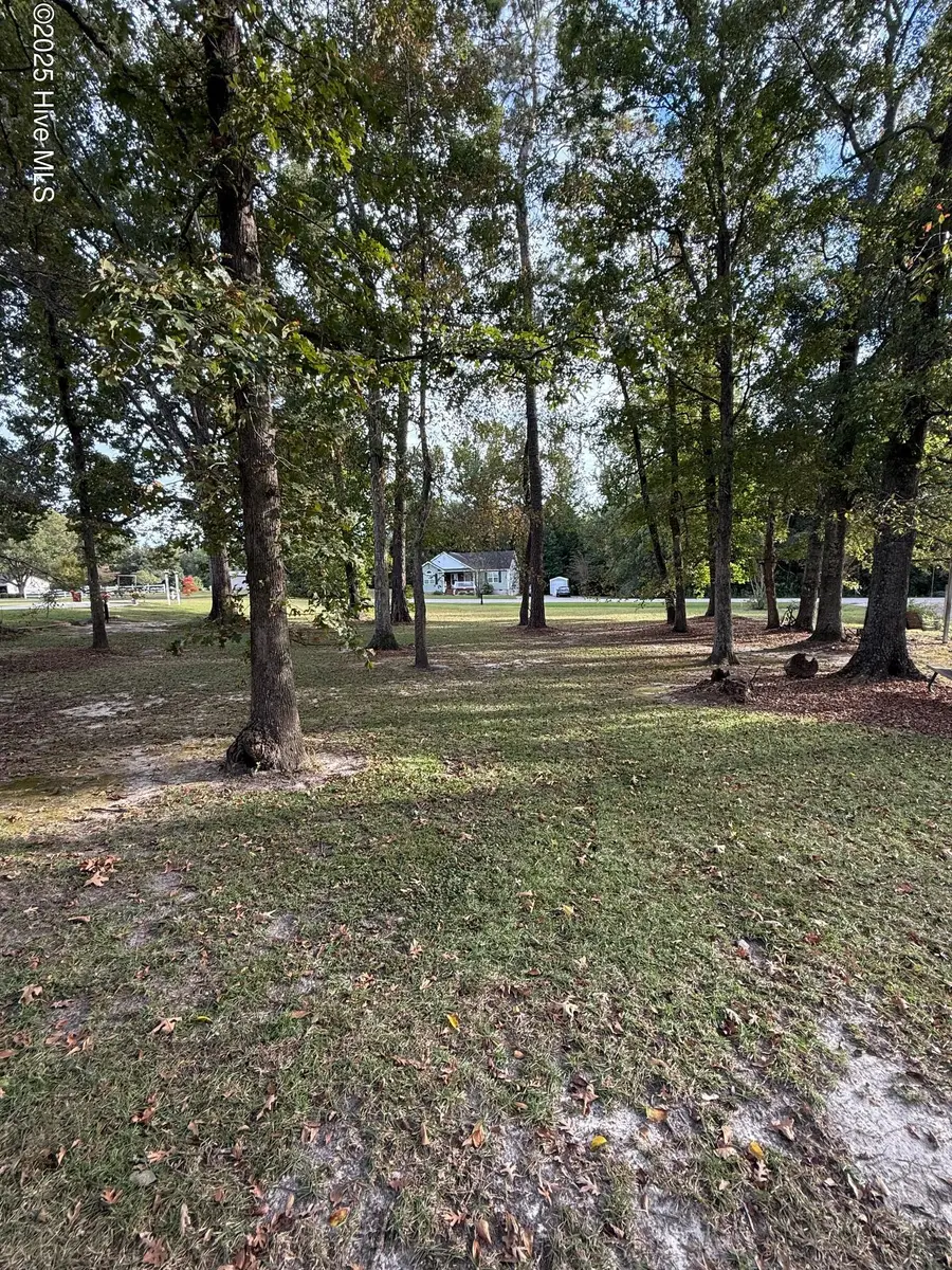 Lot #1 Prison Camp Road, Whiteville, NC 28472 - #2