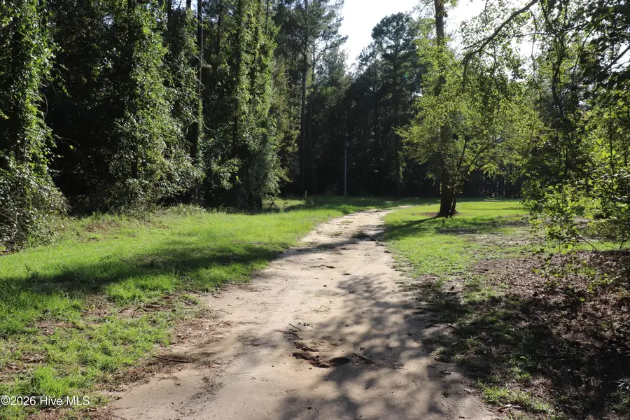 Tbd River Haven Lane, Harrells, NC 28444 - #3
