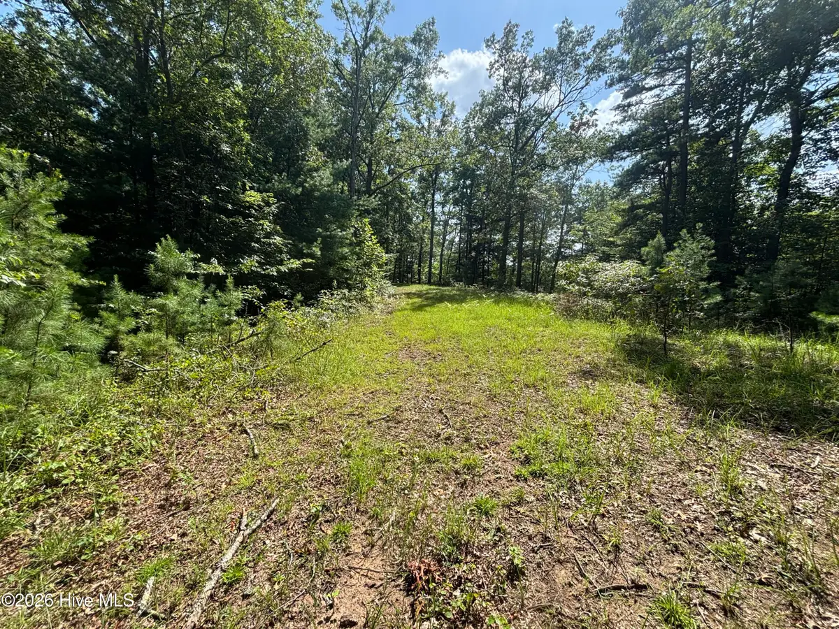 5 Majestic Mountain Trail, Murphy, NC 28906 - #1