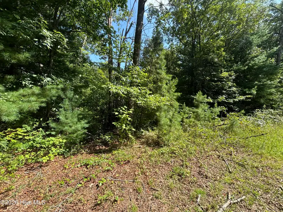 5 Majestic Mountain Trail, Murphy, NC 28906 - #2