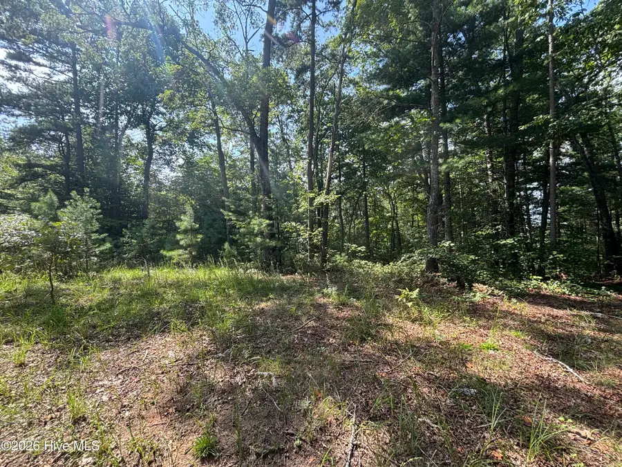 5 Majestic Mountain Trail, Murphy, NC 28906 - #3