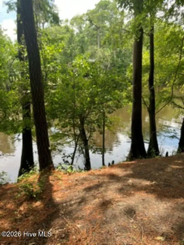 13 Riverview Drive, Burgaw, NC 28425 - #3