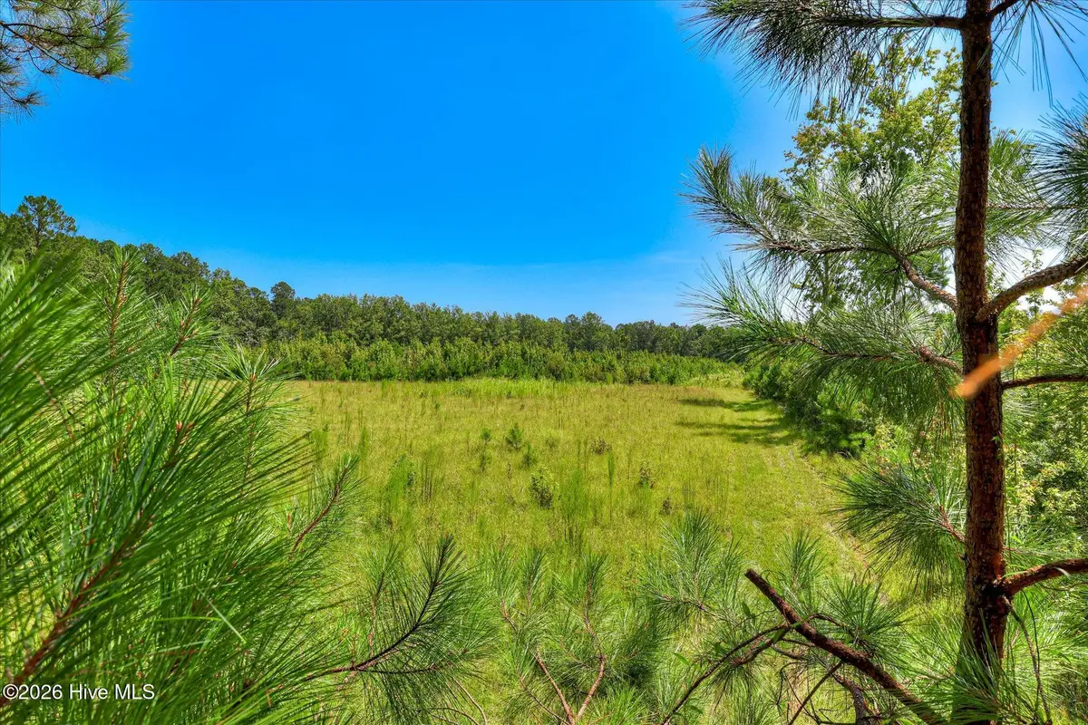 170 Landing Road, Jackson, SC 29831 - #1