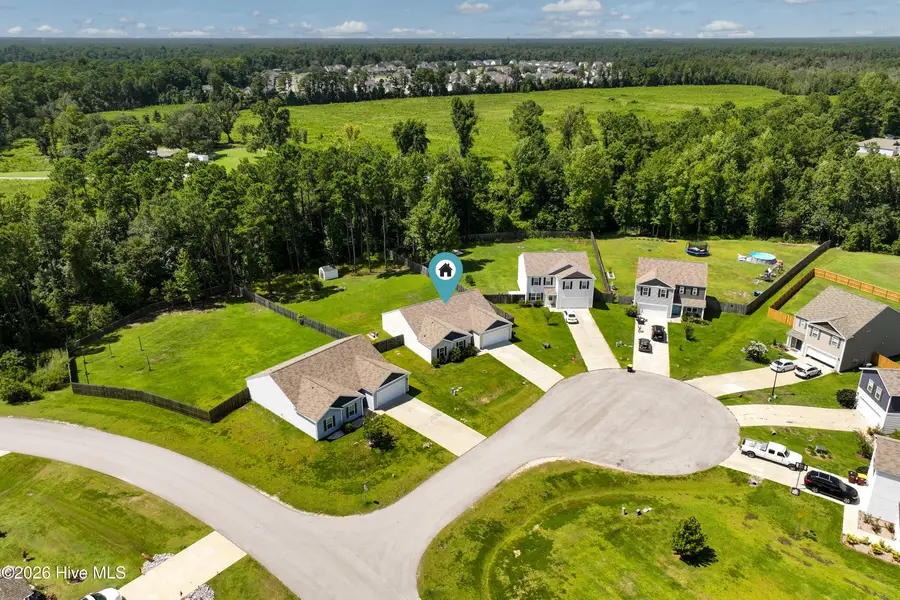 19 Evian Court, Hampstead, NC 28443 - #3
