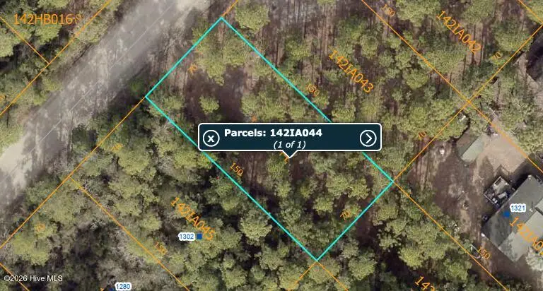 Lot 47 Juniper Road, Boiling Spring Lakes, NC 28461 - #1